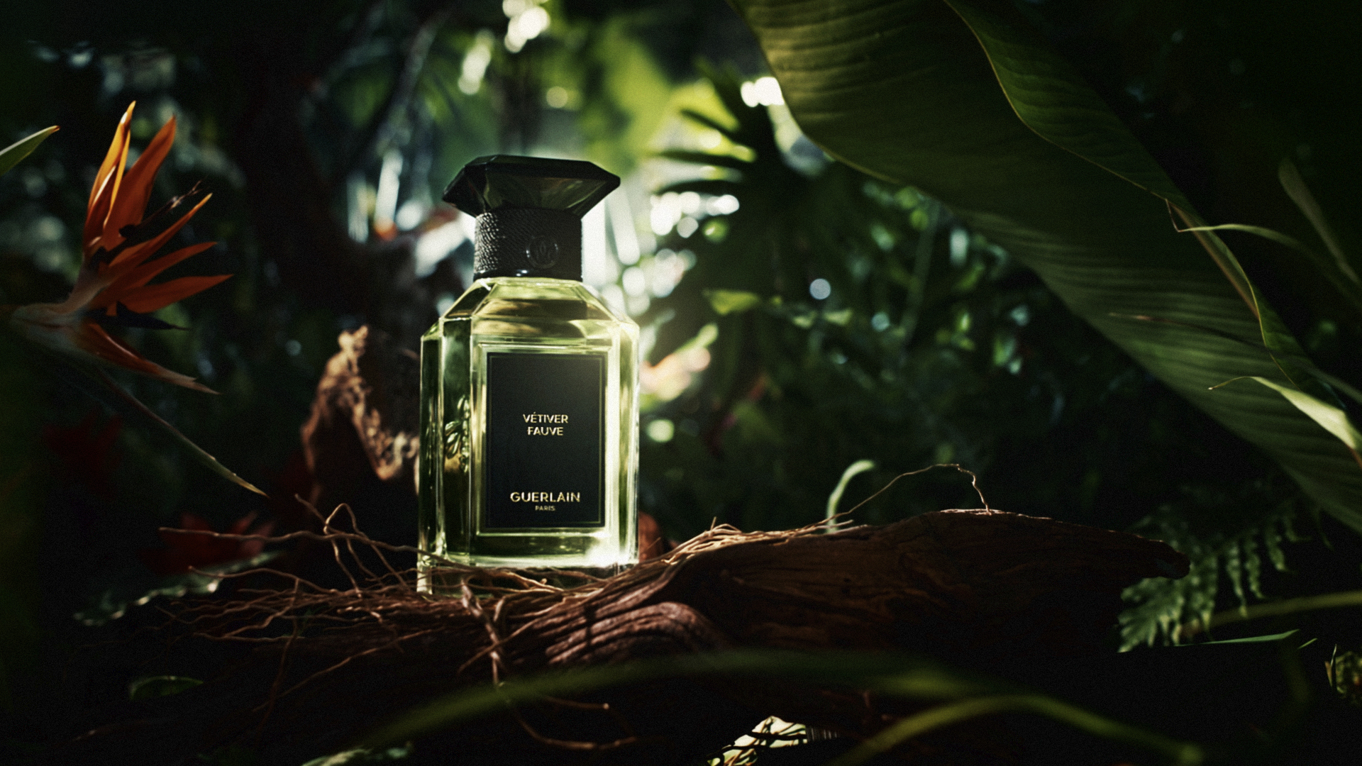 GUERLAIN - L'ART & LA MATIÈRE - VÉTIVER FAUVE